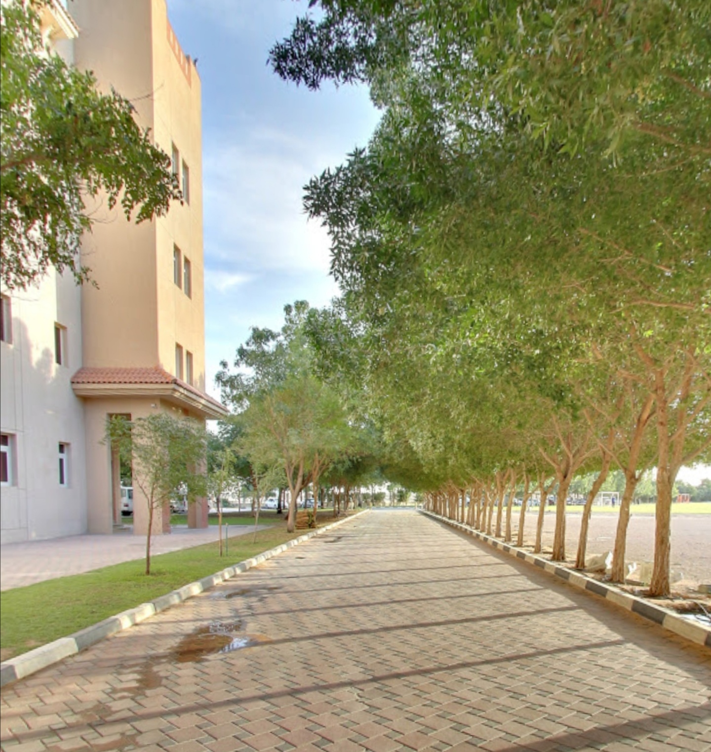 United Arab Emirates campus