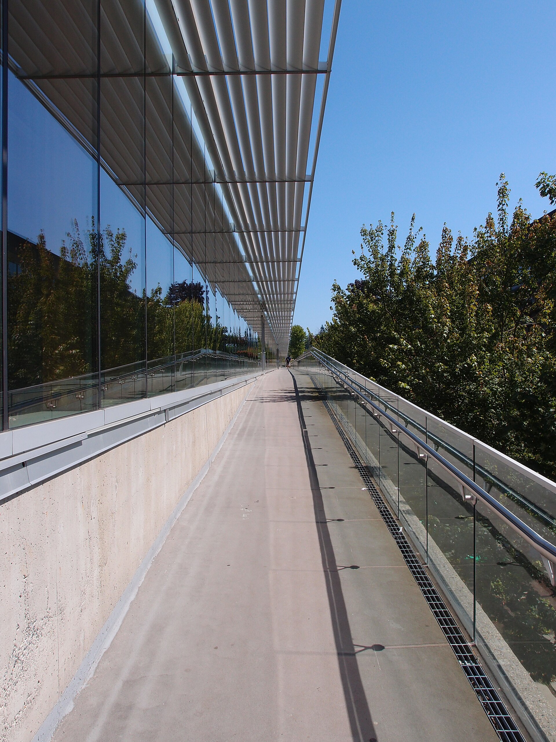 Simon Fraser University campus